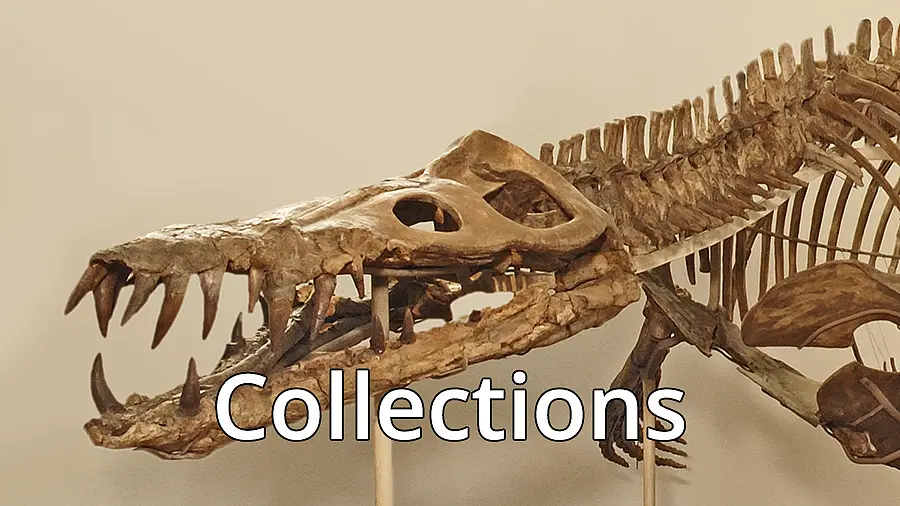 Collections