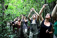 Nach langem und beschwerlichem Suchen: endlich die erste Sichtung der Muriqui-Spinnenaffen. Foto: Henrike Barske