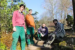 Die vier Staudengärtnerazubis im Botanischen Garten Tübingen. V.l.n.r.: Ruben Herter, Carl Pfeiffer, Janis Schmitt, Marco Alt. Foto: Friedhelm Albrecht / Universität Tübingen