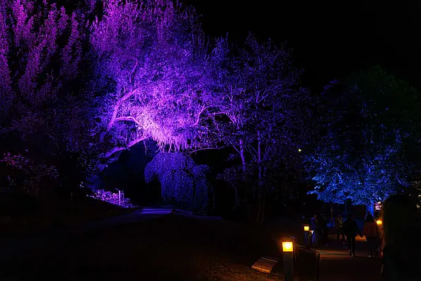 Botanische Lichter im Botanischen Garten der Universität Tübingen