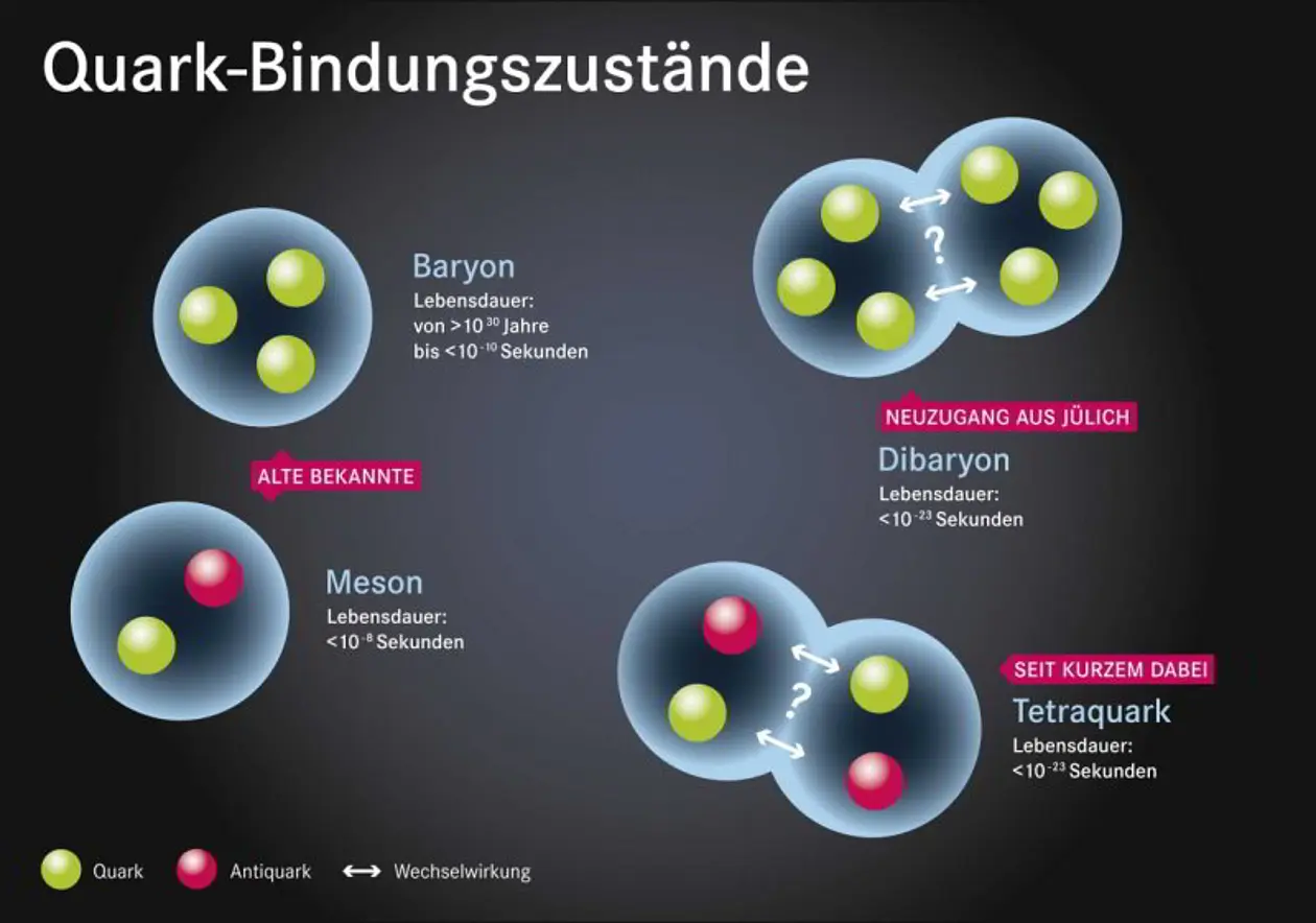 Neuzugang im "Teilchenzoo": Physiker konnten lange Zeit nur zwei Klassen von Hadronen nachweisen: Baryonen und Mesonen (links in der Abbildung). Nun gelang am Jülicher Beschleuniger COSY die Bestätigung eines weiteren Bindungszustands bestehend aus sechs Quarks: dem Dibaryon (rechts oben in der Abbildung). Quelle: Forschungszentrum Jülich/SeitenPlan (CC BY 4.0, http://creativecommons.org/licenses/by/4.0/)
