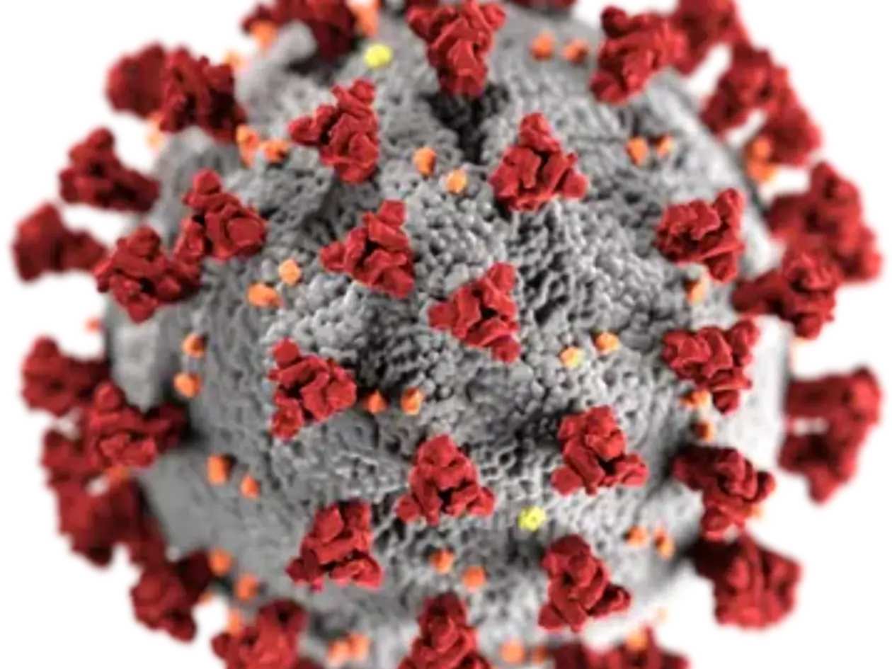 Illustration of a SARS-CoV-2 virion