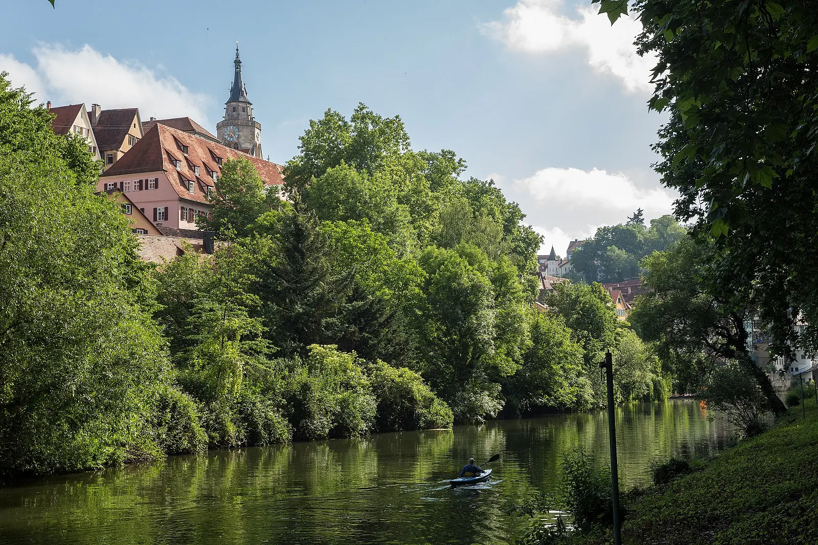 Im Vordergrund der Neckar, das Ufer mit Bäumen und im Hintergrund die Altstadt und die Stiftskirche.