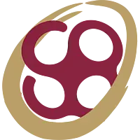 KEGGtranslator