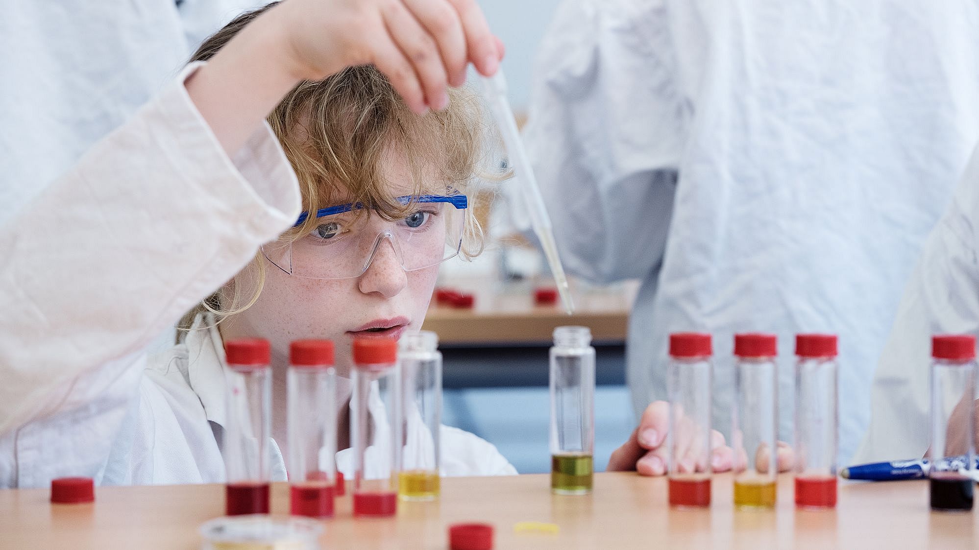 Domain-Specific Learning Processes