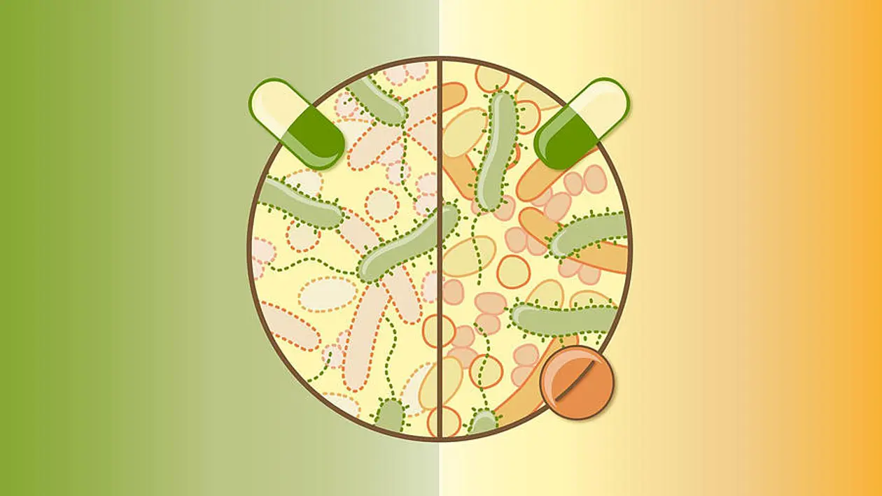 Graphic representation of the study