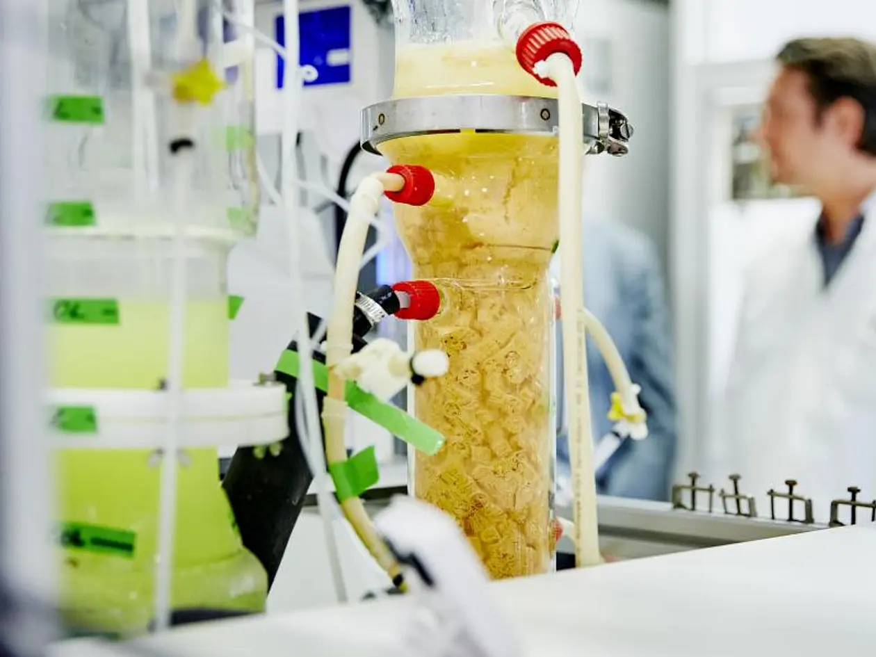 Labor mit einem Bioreaktor, der an Schläuche angeschlossen ist