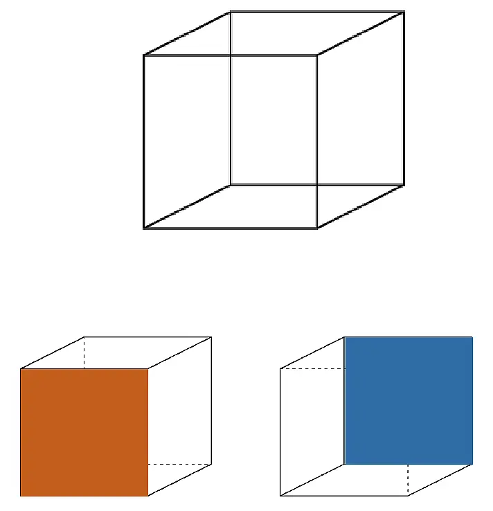bi-static figure of the Necker cube