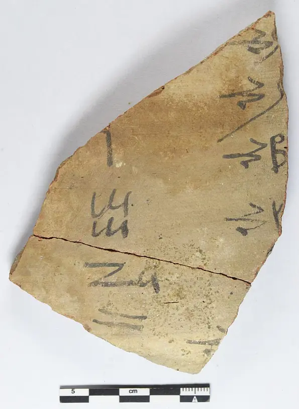 Fragment of a school text with a bird alphabet in Hieratic