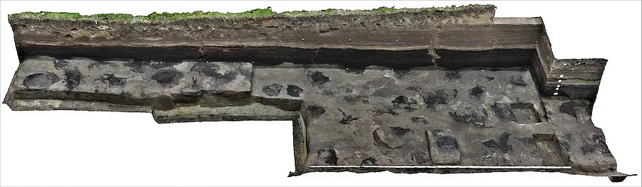 Footprints of a herd of elephants