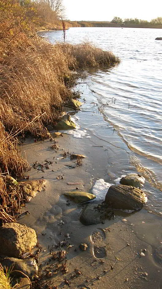 Klassisches marines Sediment an der dänischen Ostseeküste