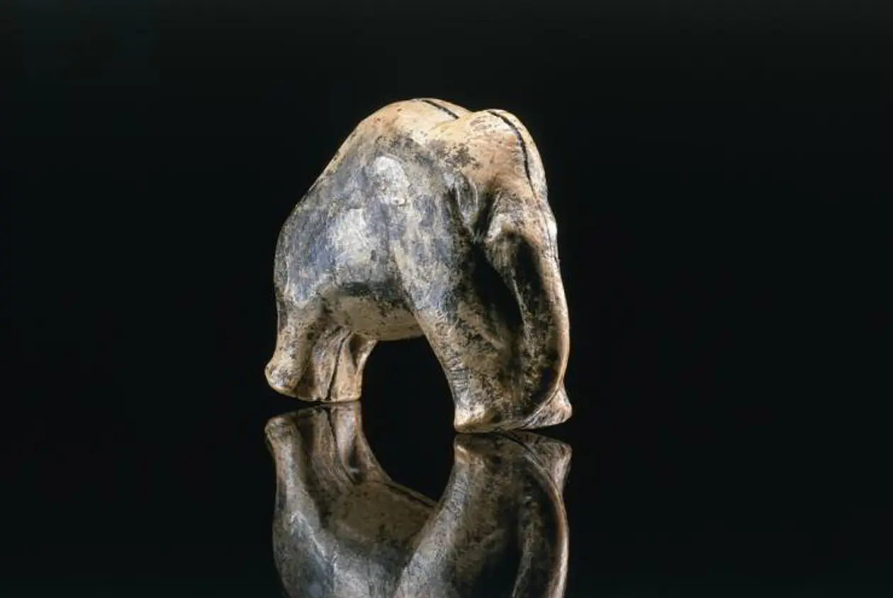 Das Mammut vom Vogelherd (gefunden 2006): Nach neuen Erkenntnissen dezimierten Jäger vor 30.000 Jahren die Population der Pflanzenfresser. Foto: J. Lipták, copyright Universität Tübingen