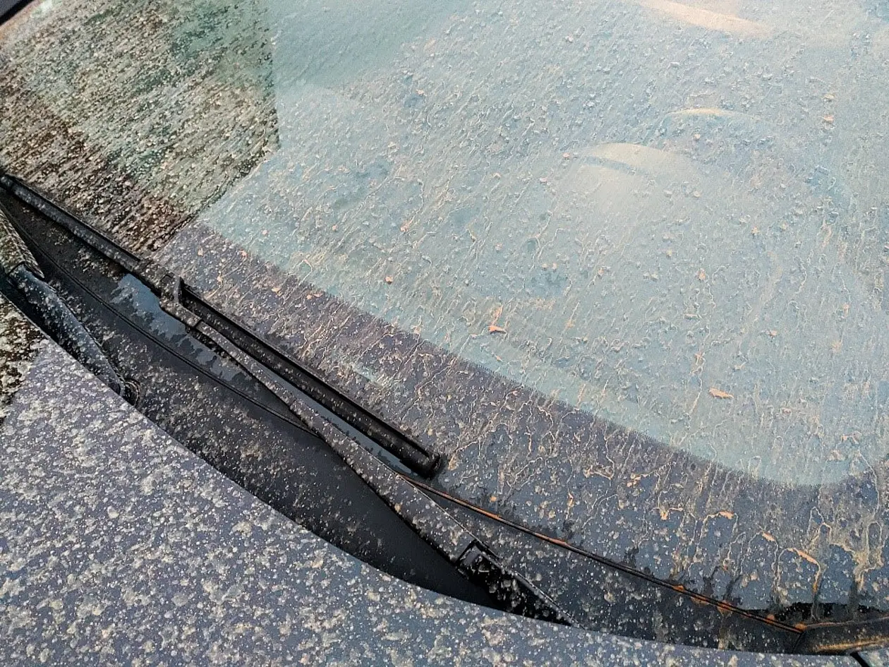 Teil der Windschutzscheibe und der Motorhaube, bedeckt mit Staub