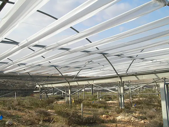 Long-term experiment in a semi-desert environment in Israel: the response of entire plant communities to experimental drought and increasing rainfall was studied for twelve consecutive years. The pictures show rainout shelters which reduce the incoming rain by 30 percent. 