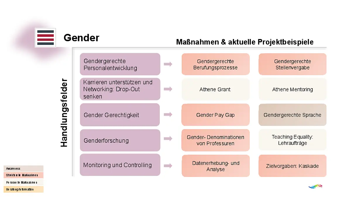 Chart Handungsfelder und aktuelle Beispiele Gender