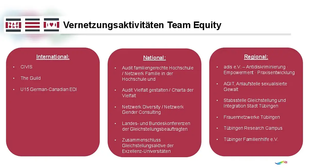 Überblick Vernetzung Team Equity 
