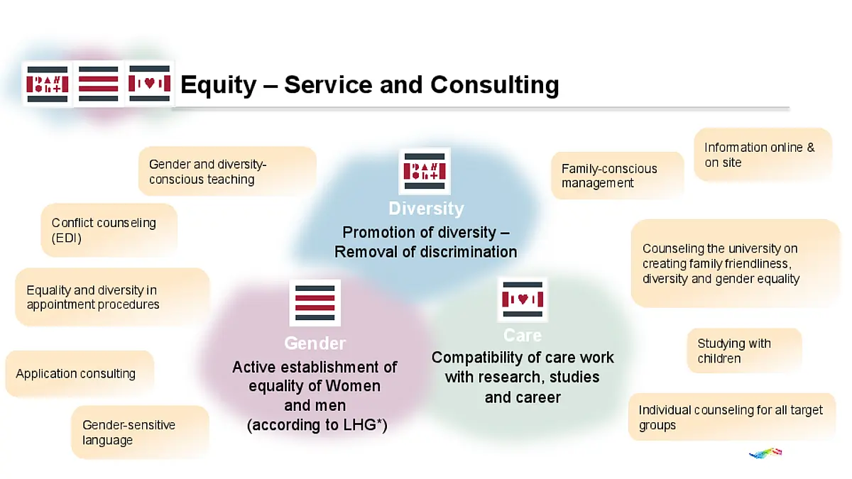 The chart illustrates Team Equity's various service areas.