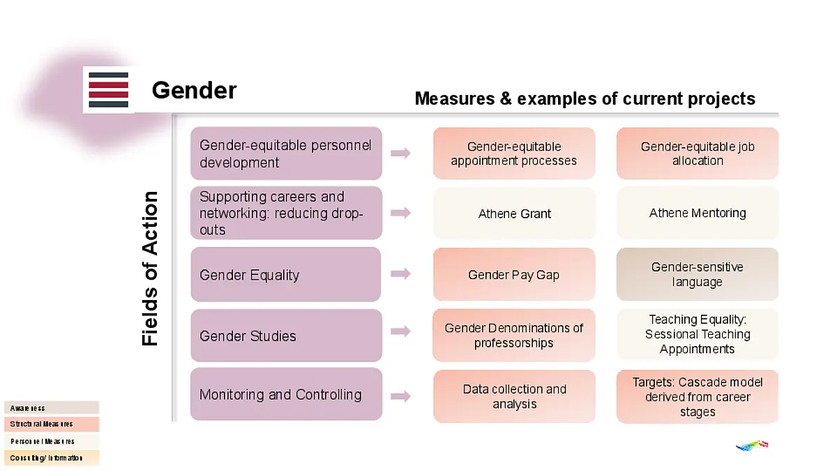 Chart Fields of Action and Examples Gender
