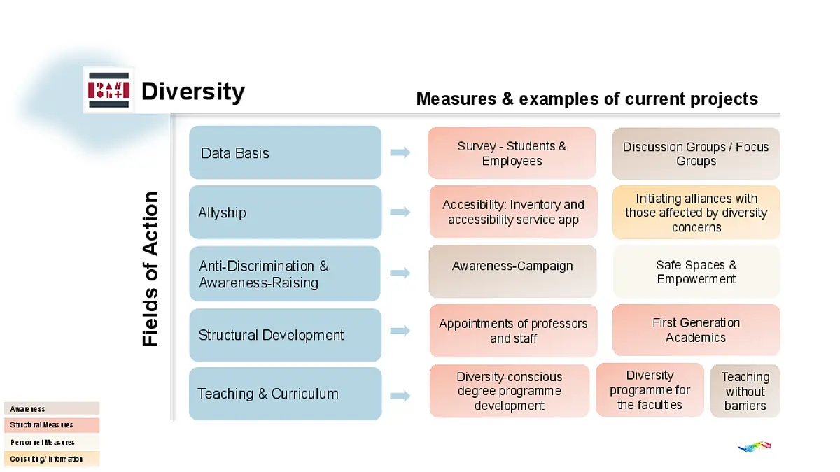 Chart Fields of Action and Examples Diversity