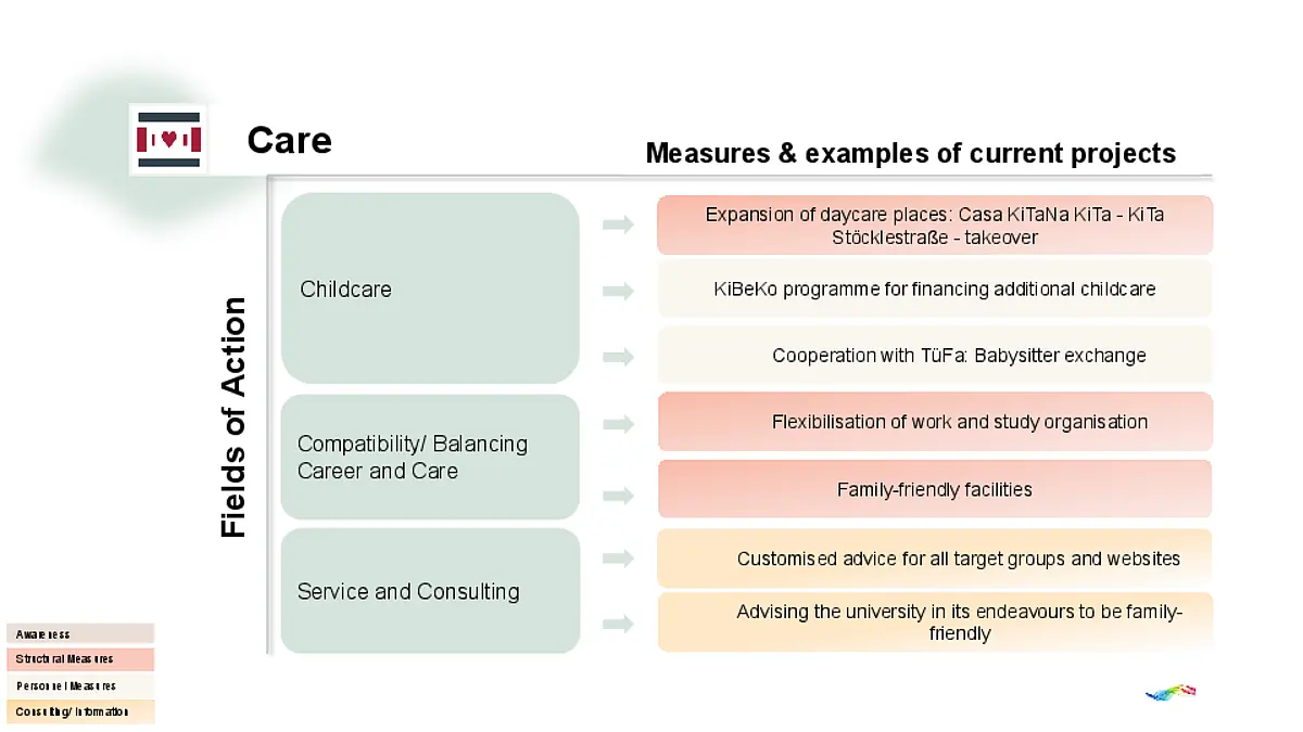 Chart Fields of Action and Examples Care