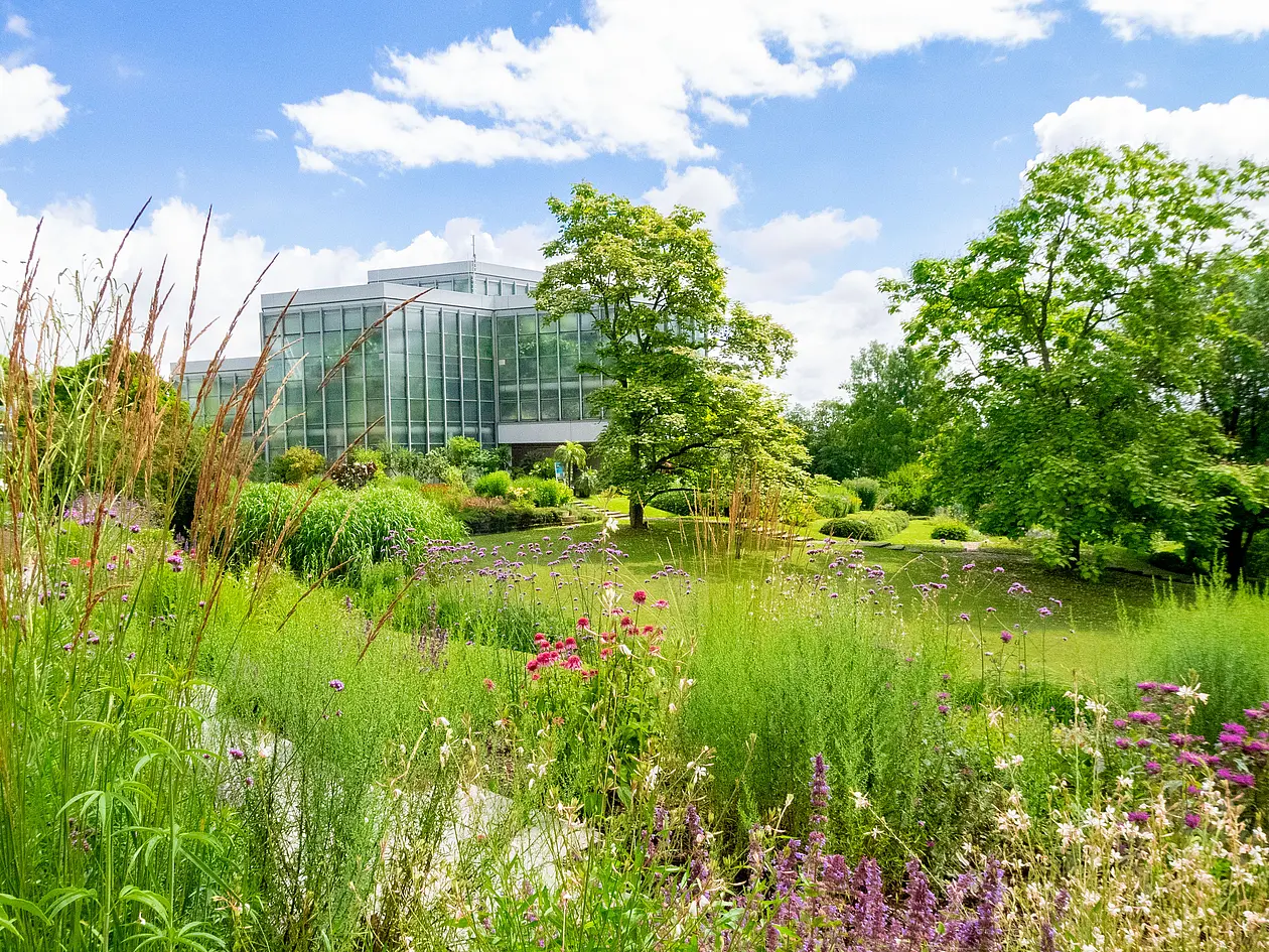Foto des Botanischen Gartens der Universität Tübingen, im Hintergrund eins der Gewächshäuser